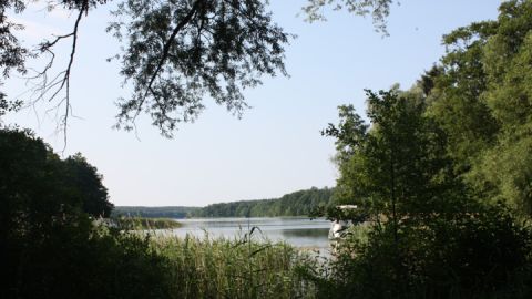Blick auf den Ellbogensee in der Nähe von Priepert