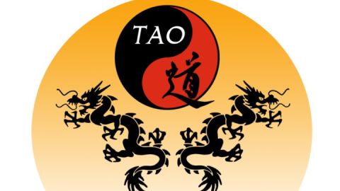 Logo Tao Schule Waren